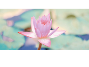 Vitality Wellness 8250 165th Avenue NE Suite 203 Redmond, WA 98052